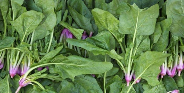 Tekrar ısıtılınca zehirleyebiliyor!