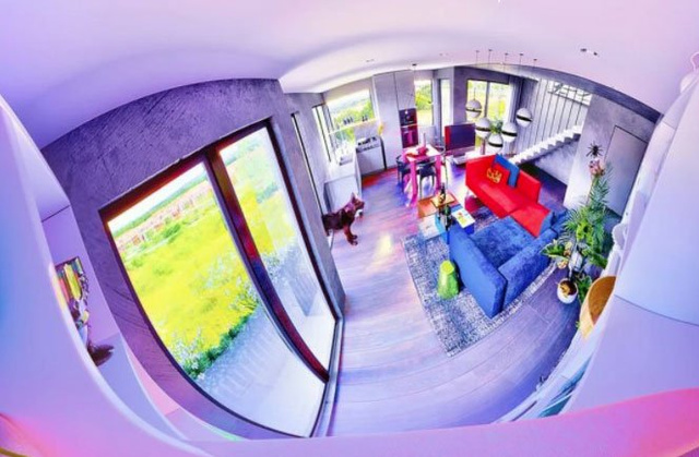 Hayvanlar çevreyi nasıl görüyor?  Hayvanların gözünden dünya