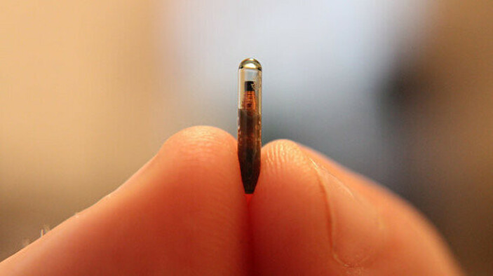 2050 yılında Dünya: Çip takım, uzaylılarla temasa geçeceğiz